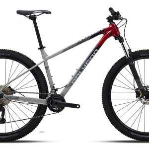 2022 Polygon 2x10 - Mountain Bike