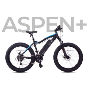 NCM Aspen Plus