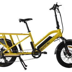 G30-CARGO eBike